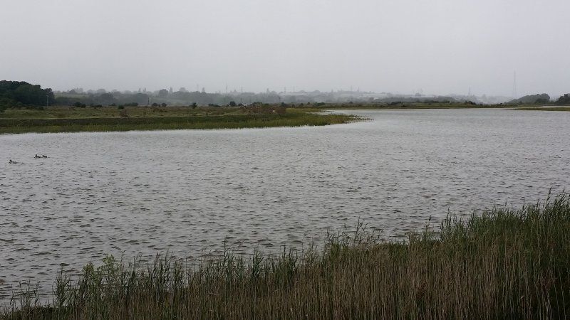 The River Colne